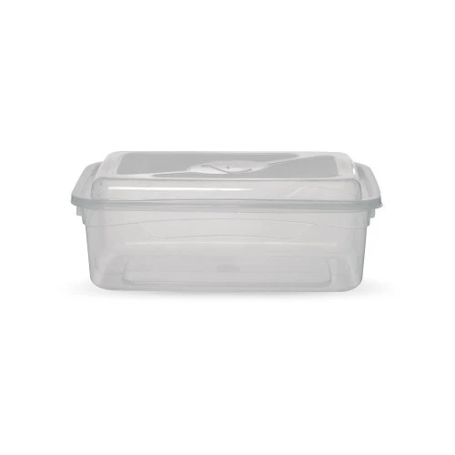 FEIRAO CAIXA ORAGNIZADORA RETANGULAR 2 5L