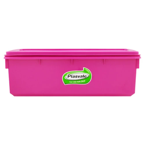 CAIXA COM TAMPA ROSA RETANGULAR 6 5L PLASVALE