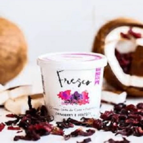 IOGURTE CRANBERRY HIBISCO 110G FRESCO