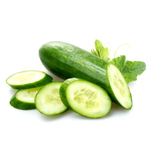 PEPINO JAPONÊS ORGÂNICO BDJ
