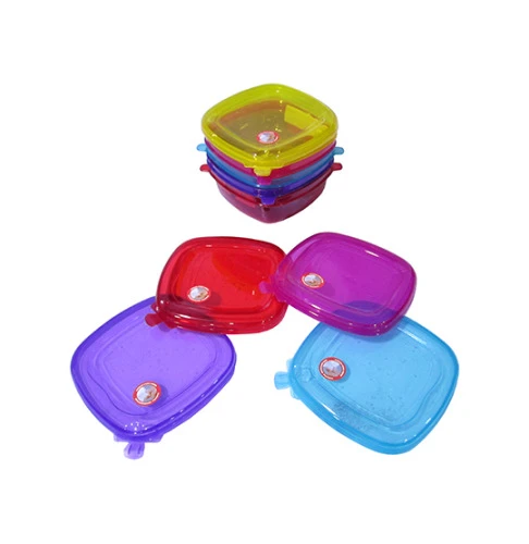 CONTAINER ORG P RAINHA 5 5L 1915