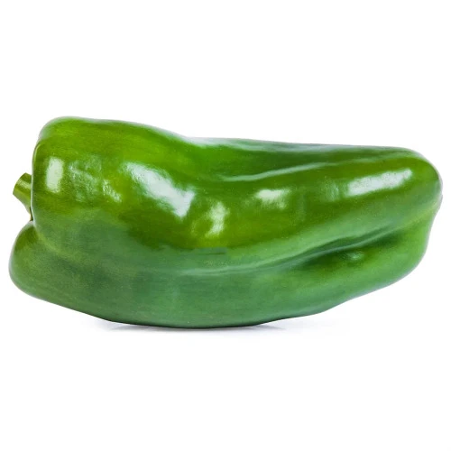 PIMENTÃO VERDE ORGÂNICO VIDA NATURAL PIMENTÃO 1 UNIDADE VERDE ORGÂNICO VIDA NATURAL