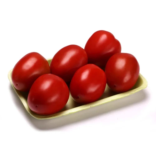 TOMATE ITALIANO ORGÂNICO 01 UNIDADE VIDA NATURAL