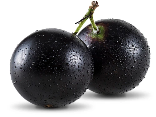 JABOTICABA BANDEJA