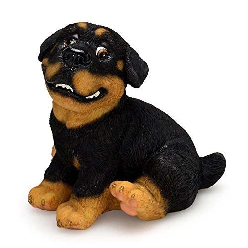 CACHORRO ROTVAILE FILHOTE ESPRESSIONE