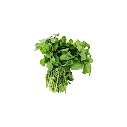 AGRIÃO VIDA NATURAL ORGÂNICO MACO