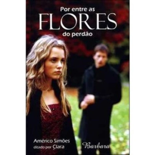 POR ENTRE AS FLORES DO PERDÃO AMÉRICO SIMÃES