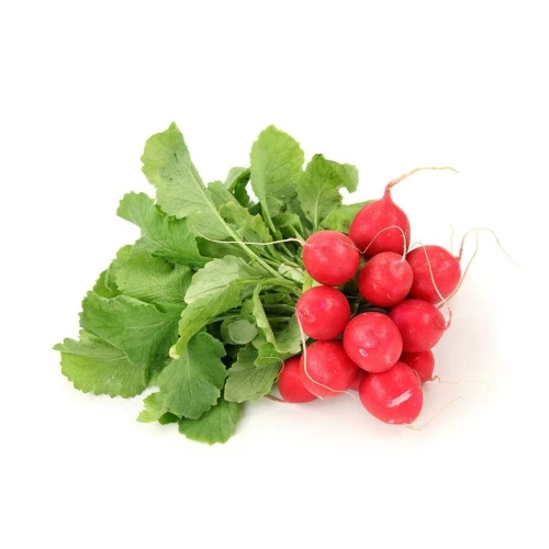 RABANETE VERMELHO ORGÂNICO VIDA NATURAL