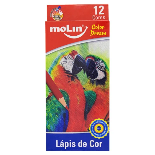 LÁPIS DE COR 12 CORES COLOR DREAM MOLIN 12 UNIDADES
