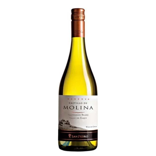 VINHO CH CASTILLO MOLINA BCO SAUVIGNON RES