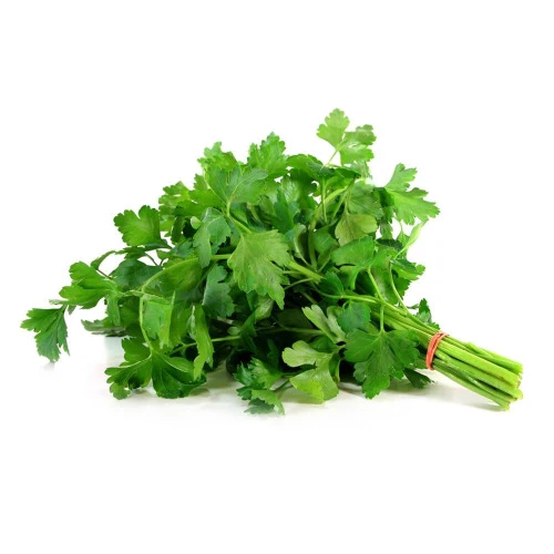 SALSA ORGÂNICA 01 UNIDADE VIDA NATURAL