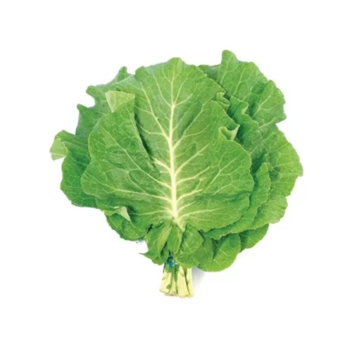 COUVE MANTEIGA ORGÂNICA 01 UNIDADE J WATANABE