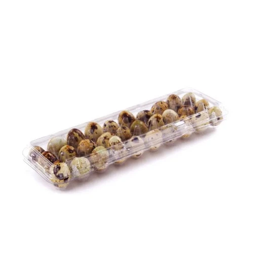 OVOS BCO MODELO GRANDE COM 6