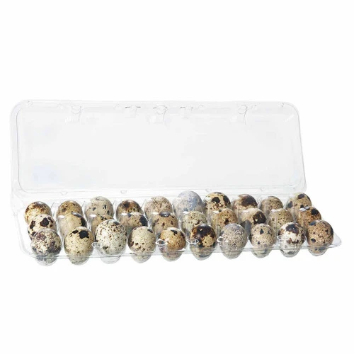 OVOS GRANJA SATO CODORNA 30UNIDADE