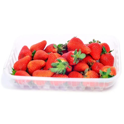 MORANGO 1 CAMADA BDJ UN