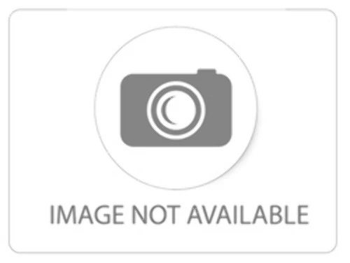 ROYAL PERSONAL ORGANIZER DM70 PLUS 1KB