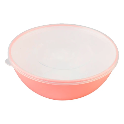 BOWL COM TAMPA 600ML PLASÁTIL DUO 360º