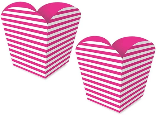 REGINA CACHEPOT PEQ FA R569 FESTA COLORS PINK PACOTE DE 8 UNIDADES