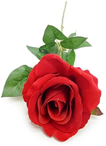 FLOR ARTIFICIAL 12 ROSAS ARTIFICIAIS SUPER REALISTA GALHO COM FLOR FOLHAS E ESPINHOS NA HASTE (12 VE