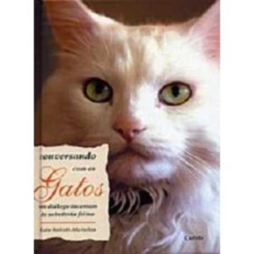 CONVERSANDO COM OS GATOS KATE SOLISTI MATTELON